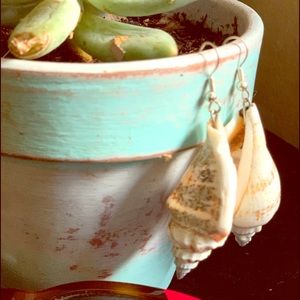 Homemade Shell Earrings